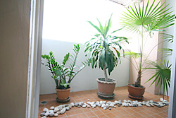 ระเบียง